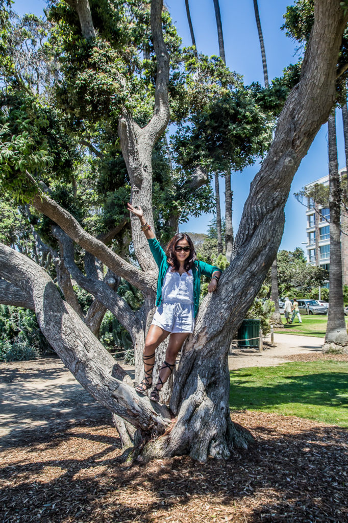 Palisades Park, Santa Monica, California