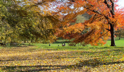 prospect park