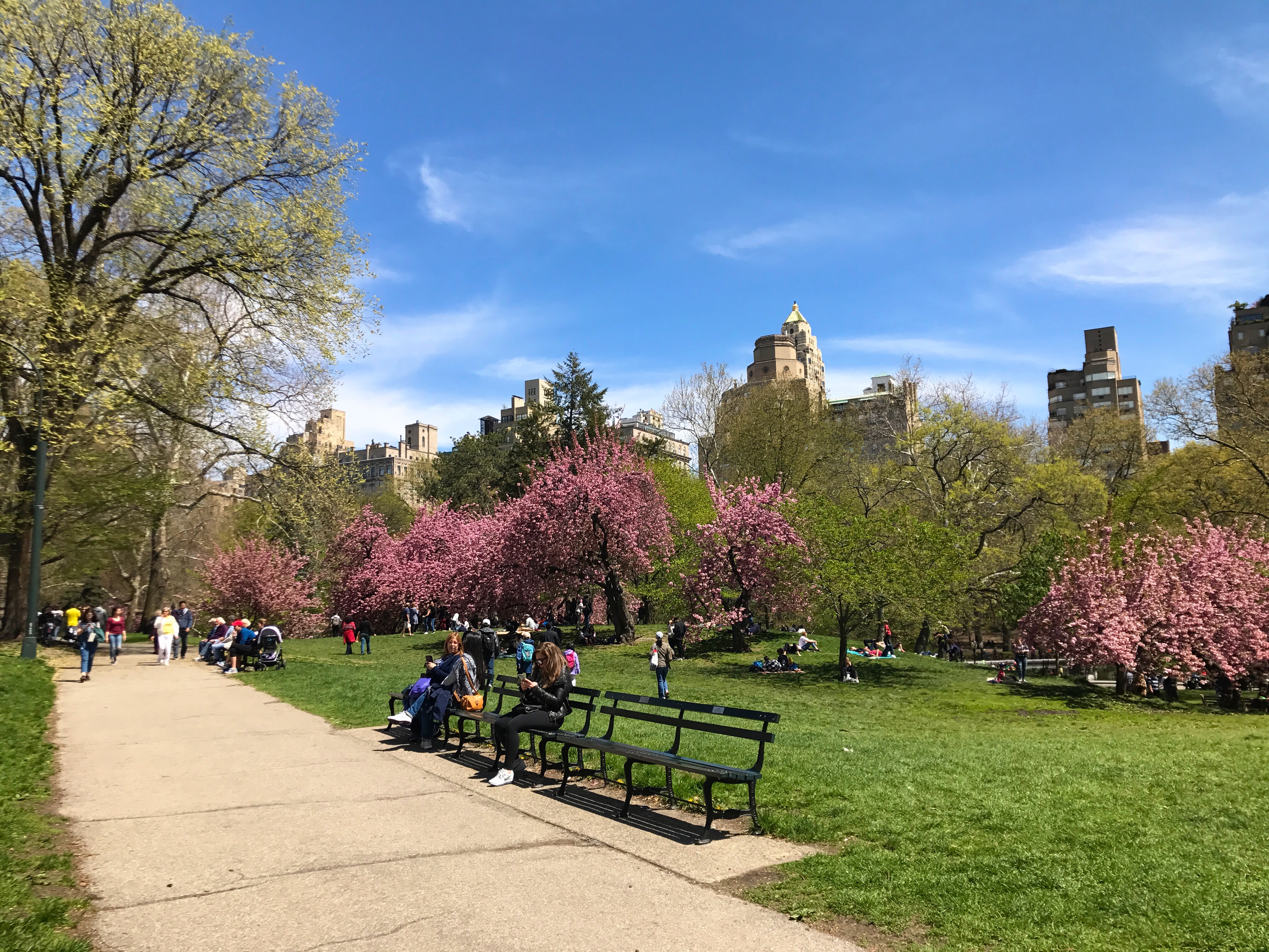 Schermata di un tavolo da bingo online con numeri e cartelle
